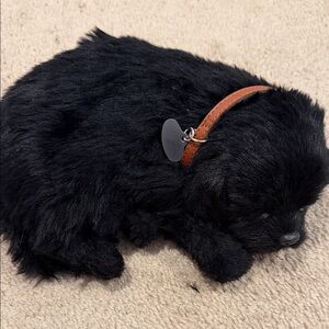 Perfect Petzzz Black Lab dog, a lifelike, interactive stuffed toy.